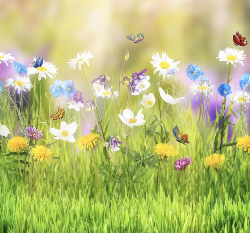 20个instagram上快速涨粉的推广运营技巧,跨境电商热卖秘籍 20个instagram上快速涨粉的推广运营技巧,跨境电商热卖秘籍