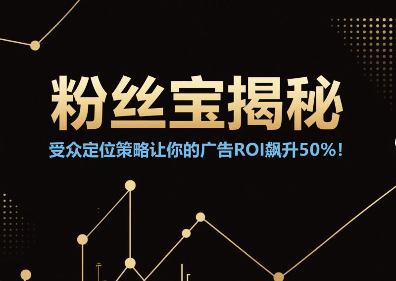 粉丝网揭秘:受众定位策略让你的广告ROI飙升50%! 粉丝网跨境
